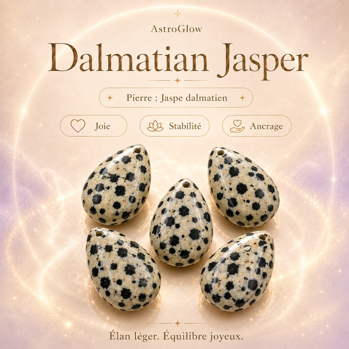 Pierre Jaspe Dalmatien AstroGlow — vue détaillée